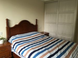 2018-02-04-095038_0005