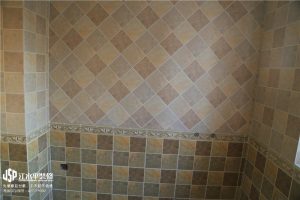 2018-03-07-172540_0007