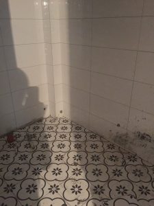 2018-03-11-090718_0003