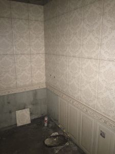 2018-03-11-090718_0004