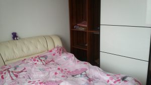 2018-03-17-170806_0005