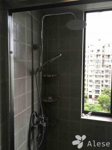 2018-03-20-105252_0004