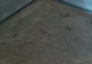 2018-07-05-163738_0002