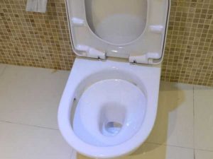 2018-07-10-090748_0003