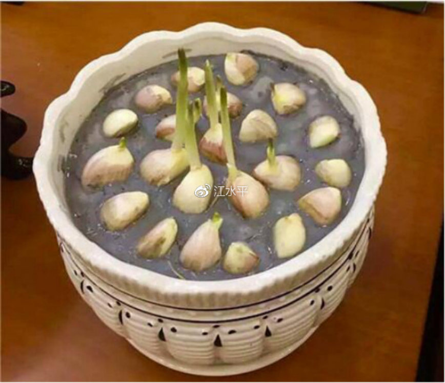 2018-12-26-190956_0001