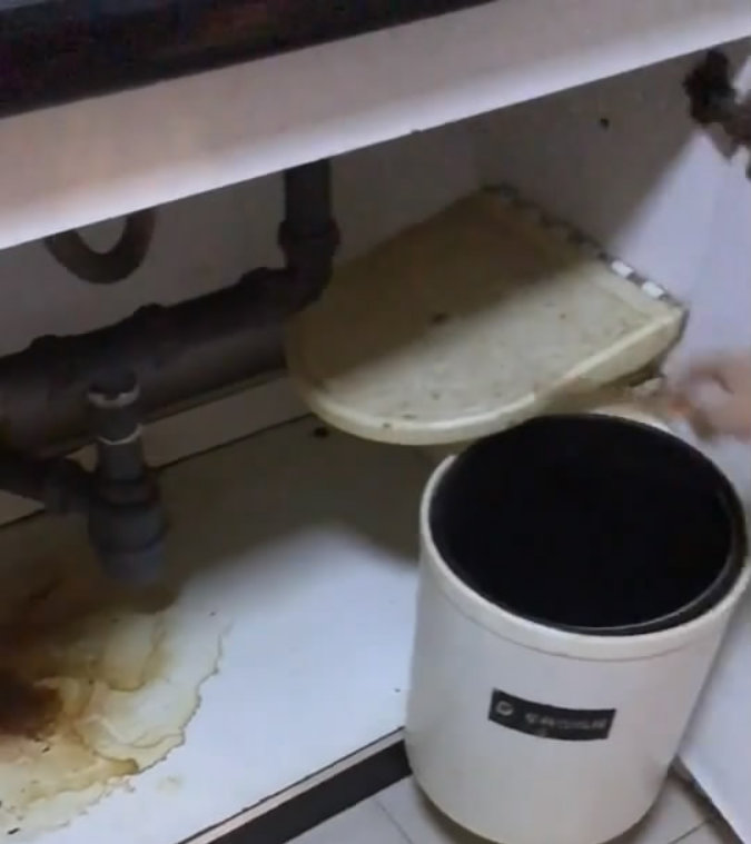 2019-01-08-202036_0002