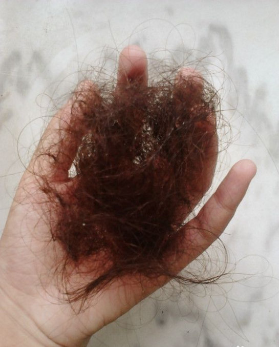 2019-01-08-205624_0006