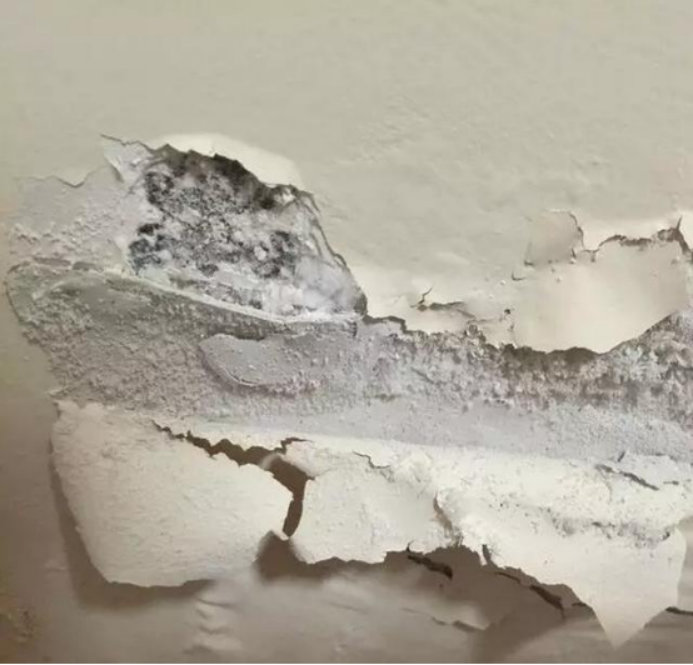 2019-01-24-184128_0001