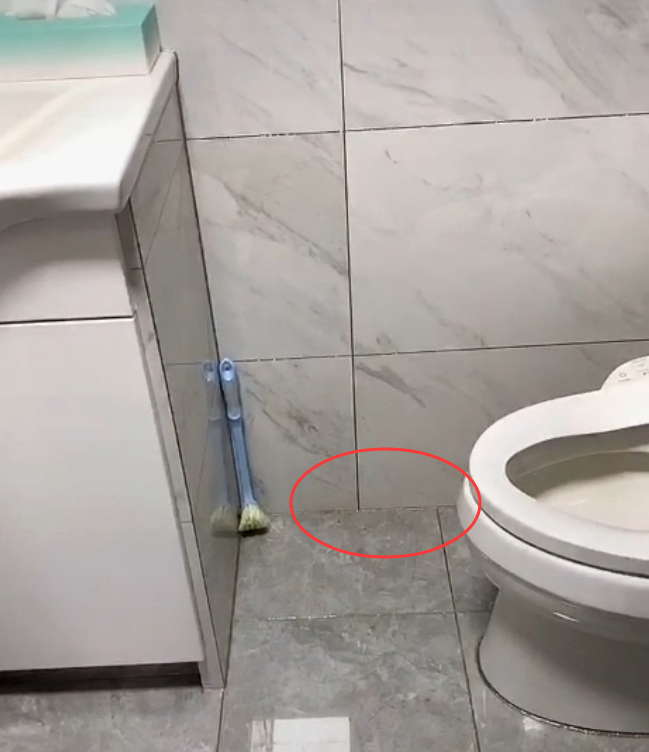 v2-231750d9b8c8a6ec4a6638e72bc9dda9_720w-1