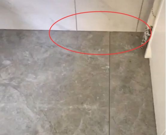 v2-ae81d7793d626b352002c7d72cbf14ae_720w