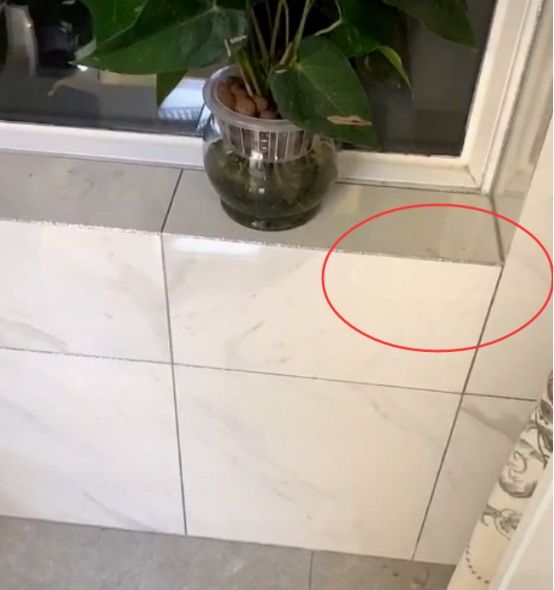 v2-fd1c844a1cc0d850337cab0d1481bc90_720w